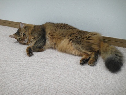 2013051602.jpg