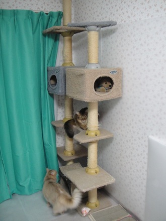 2013051901.jpg