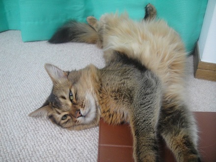 2013052600.jpg