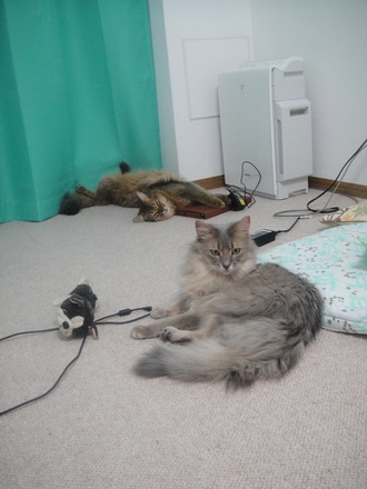 2013052601.jpg