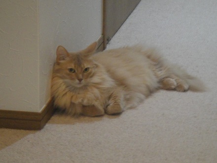 2013052700.jpg