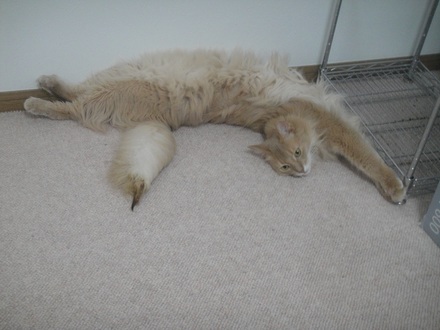 2013052701.jpg
