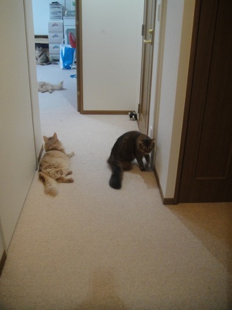 2013052800.jpg