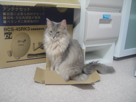 2013052801.jpg