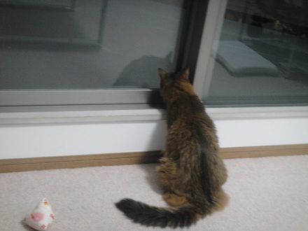 2013060100.jpg