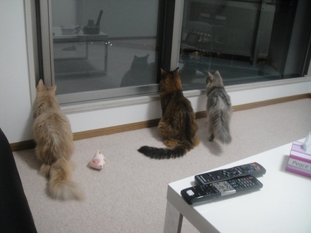 2013060101.jpg