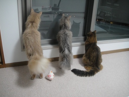 2013060102.jpg