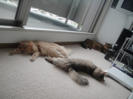 2013060200.jpg