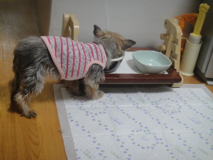 2013060401.jpg