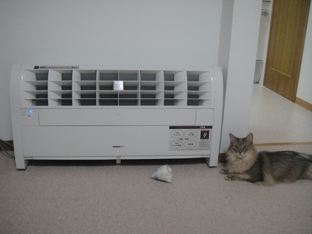 2013060800.jpg