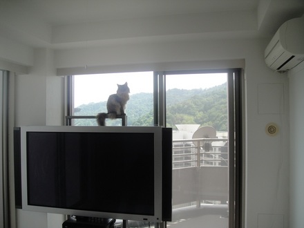 2013060900.jpg