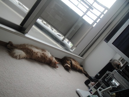 2013060902.jpg
