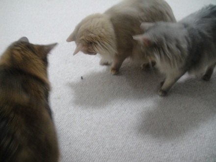 2013061100.jpg