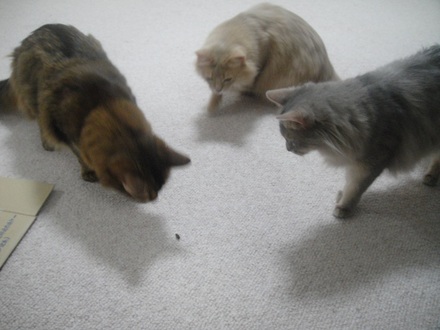 2013061101.jpg