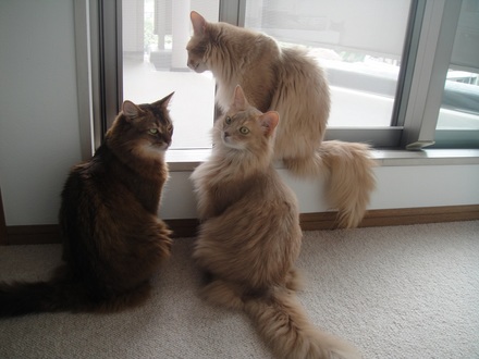 2013061500.jpg