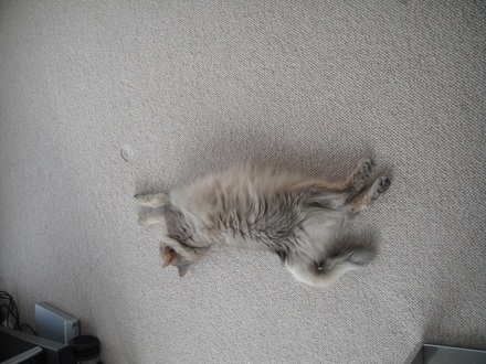 2013061501.jpg