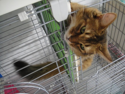 2013062100.jpg