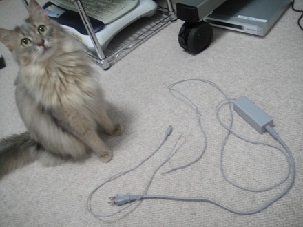 2013062501.jpg