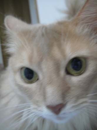 2013062502.jpg