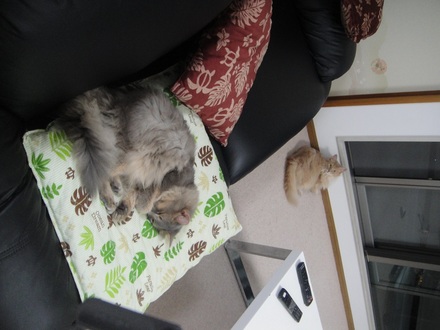 2013070201.jpg