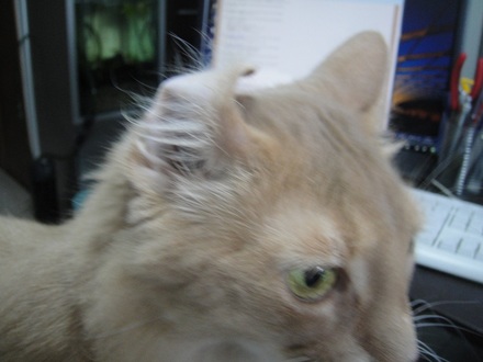 2013070600.jpg