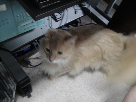 2013070601.jpg