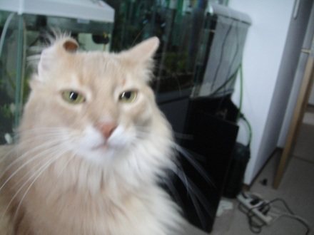 2013070603.jpg