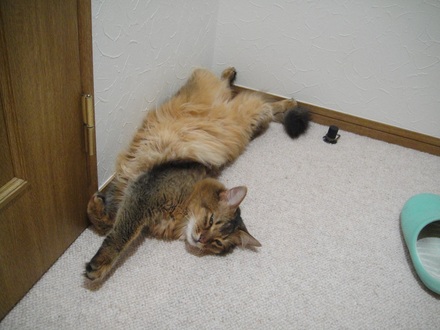 2013070701.jpg
