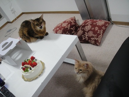 2013071400.jpg