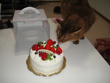2013071402.jpg