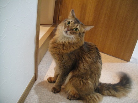 2013072700.jpg