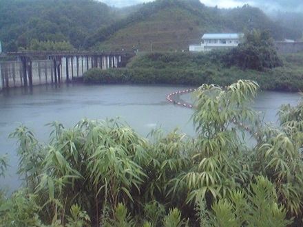2013072801.jpg