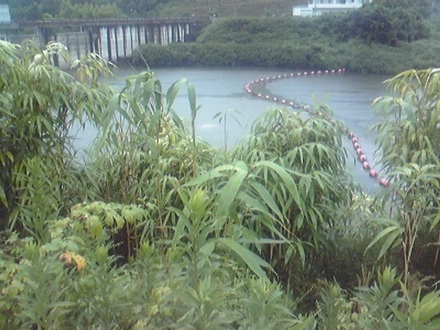 2013072802.jpg