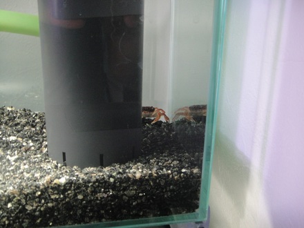 2013072805.jpg
