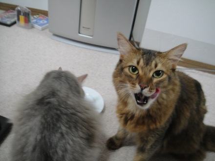 2013080404.jpg