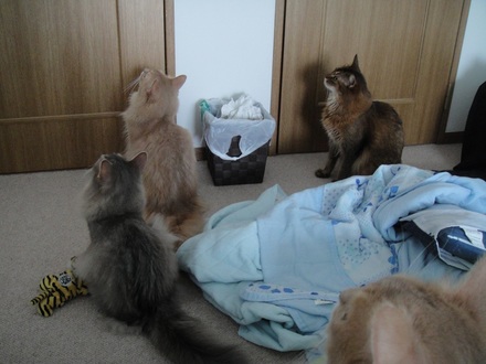 2013081200.jpg