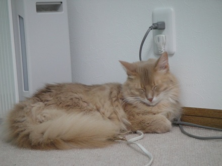 2013081204.jpg