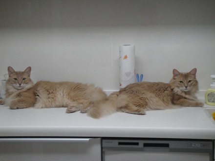 2013081500.jpg