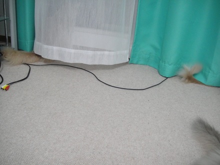 20130825.jpg