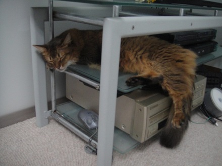 2013082500.jpg