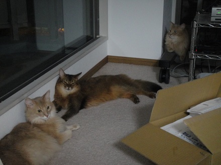2013083100.jpg