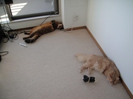 2013090501.jpg