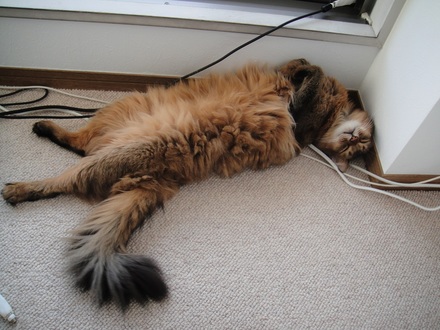 2013090502.jpg
