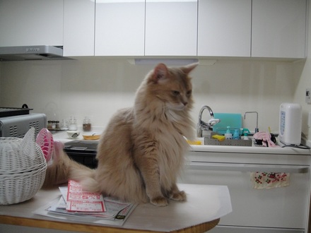 2013090601.jpg