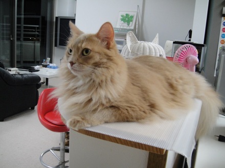 2013090602.jpg