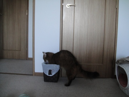2013090800.jpg
