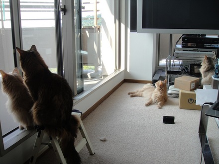 2013091501.jpg