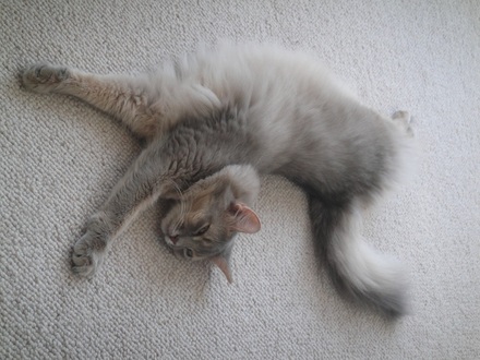 2013091602.jpg