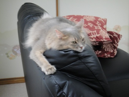 2013091603.jpg