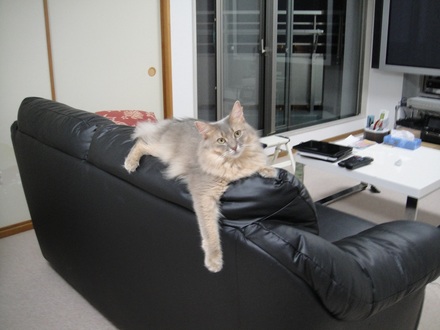 2013091604.jpg